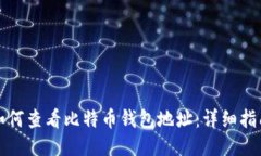 如何查看比特币钱包地址：详细指南
