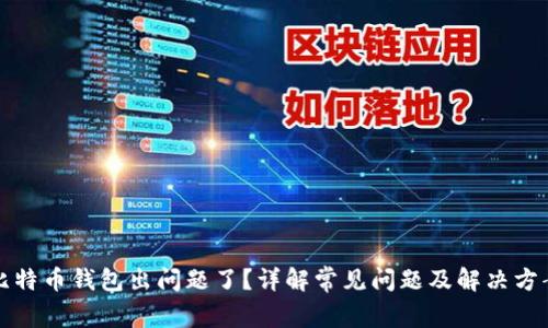 比特币钱包出问题了？详解常见问题及解决方案
